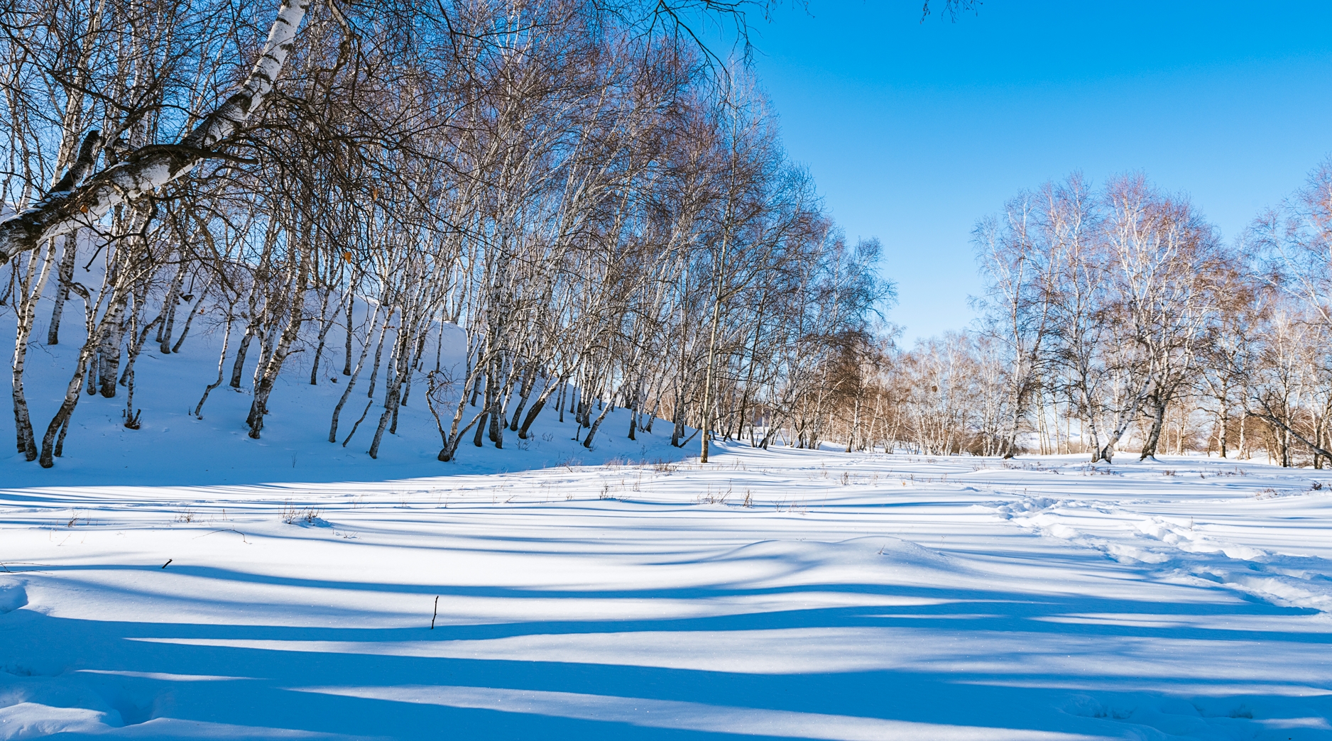 【悦历】12月8日  你再不来，我要下雪了